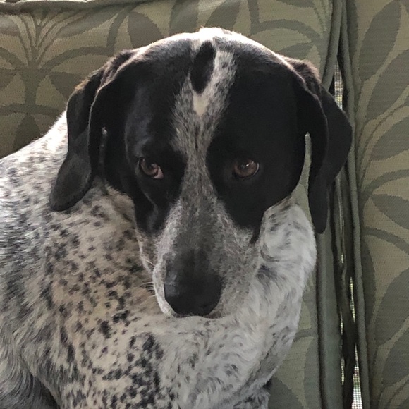 Meet the Posher - Picture 11 of 16